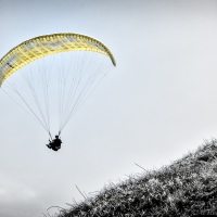 Descent of a Paraglider